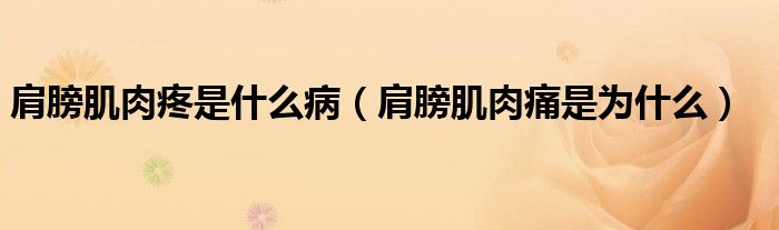 肩膀肌肉疼是什么?。绨蚣∪馔词菫槭裁矗?class='thumb lazy' /></a>
		    <header>
		<h2><a  href=
