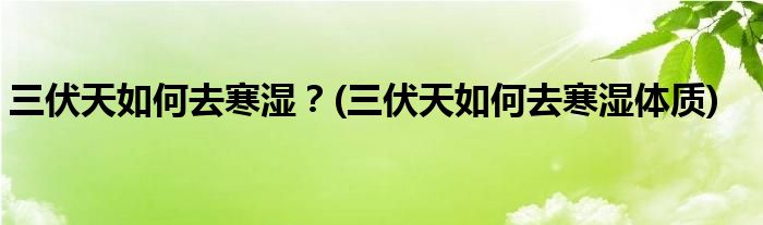 三伏天如何去寒濕？(三伏天如何去寒濕體質)