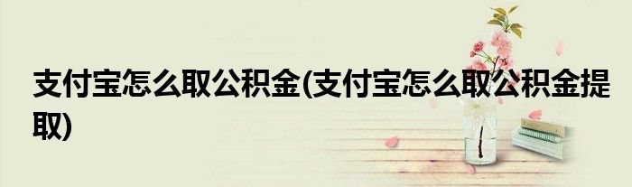 支付寶怎么取公積金(支付寶怎么取公積金提取)