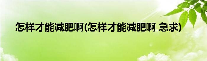 怎樣才能減肥啊(怎樣才能減肥啊 急求)