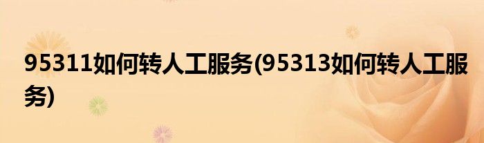 95311如何轉(zhuǎn)人工服務(wù)(95313如何轉(zhuǎn)人工服務(wù))