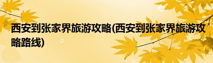 西安到張家界旅游攻略(西安到張家界旅游攻略路線)