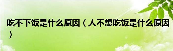 吃不下飯是什么原因(人不想吃飯是什么原因)