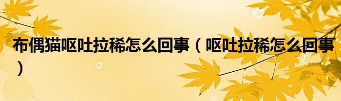 布偶貓嘔吐拉稀怎么回事（嘔吐拉稀怎么回事）
