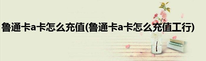 魯通卡a卡怎么充值(魯通卡a卡怎么充值工行)