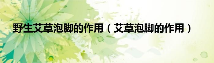 野生艾草泡腳的作用（艾草泡腳的作用）