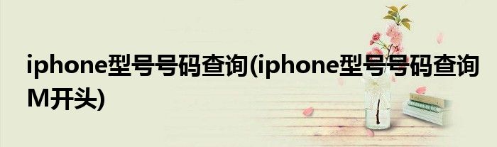 iphone型號號碼查詢(iphone型號號碼查詢M開頭)