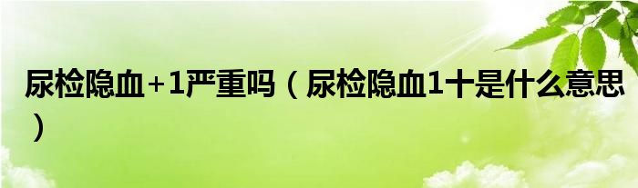 尿檢隱血+1嚴(yán)重嗎(尿檢隱血1十是什么意思)