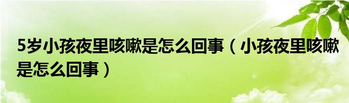5歲小孩夜里咳嗽是怎么回事（小孩夜里咳嗽是怎么回事）