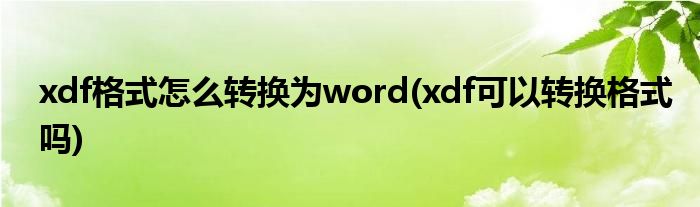 xdf格式怎么轉(zhuǎn)換為word(xdf可以轉(zhuǎn)換格式嗎)