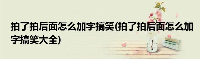 拍了拍后面怎么加字搞笑(拍了拍后面怎么加字搞笑大全)