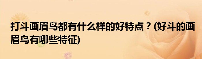 打斗畫(huà)眉鳥(niǎo)都有什么樣的好特點(diǎn)？(好斗的畫(huà)眉鳥(niǎo)有哪些特征)