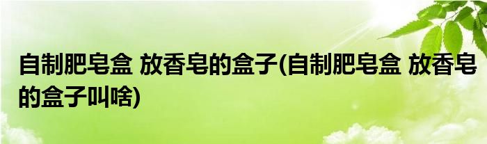自制肥皂盒 放香皂的盒子(自制肥皂盒 放香皂的盒子叫啥)
