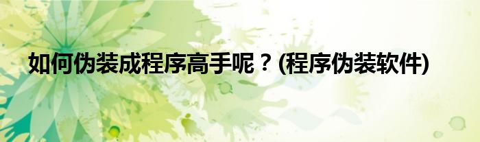 如何偽裝成程序高手呢？(程序偽裝軟件)