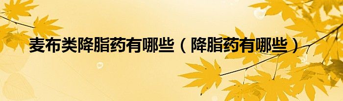 麥布類(lèi)降脂藥有哪些（降脂藥有哪些）