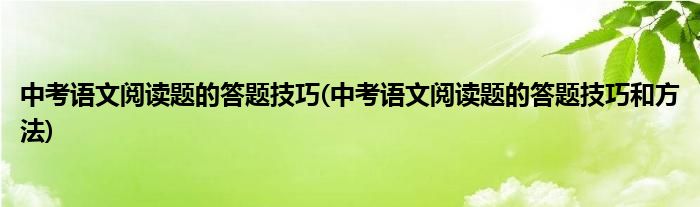 中考語文閱讀題的答題技巧(中考語文閱讀題的答題技巧和方法)