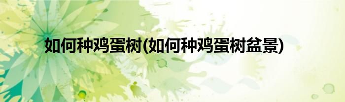 如何種雞蛋樹(如何種雞蛋樹盆景)