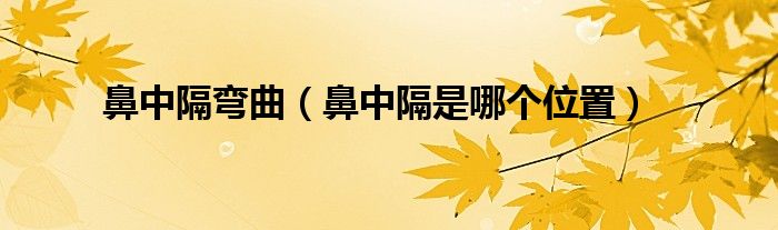 鼻中隔彎曲（鼻中隔是哪個位置）