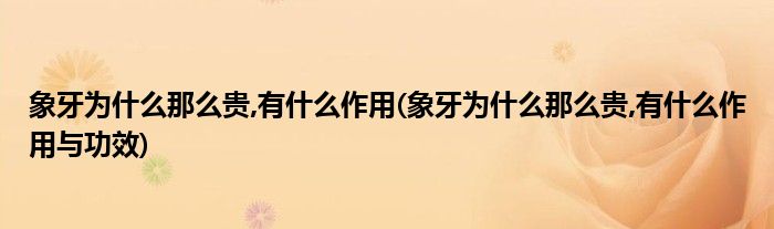 象牙為什么那么貴,有什么作用(象牙為什么那么貴,有什么作用與功效)