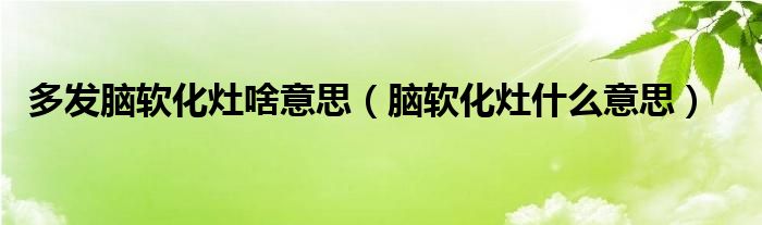 多發(fā)腦軟化灶啥意思(腦軟化灶什么意思)