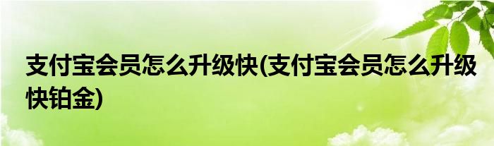支付寶會員怎么升級快(支付寶會員怎么升級快鉑金)