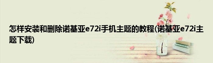 怎樣安裝和刪除諾基亞e72i手機主題的教程(諾基亞e72i主題下載)