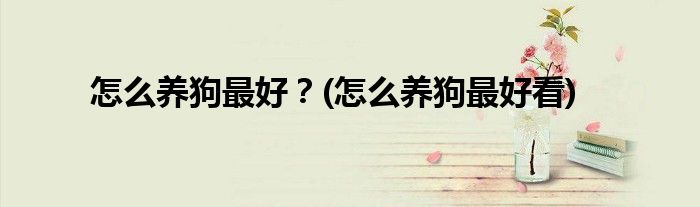 怎么養(yǎng)狗最好？(怎么養(yǎng)狗最好看)