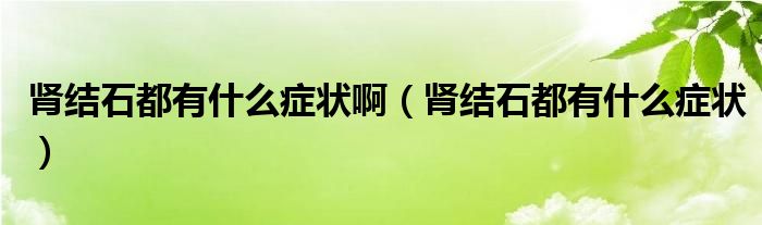 腎結(jié)石都有什么癥狀?。I結(jié)石都有什么癥狀）