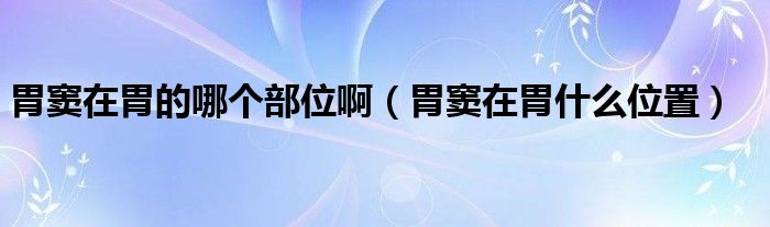 胃竇在胃的哪個(gè)部位?。ㄎ父]在胃什么位置）
