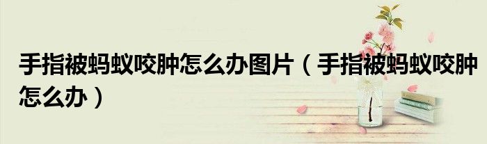 手指被螞蟻咬腫怎么辦圖片（手指被螞蟻咬腫怎么辦）