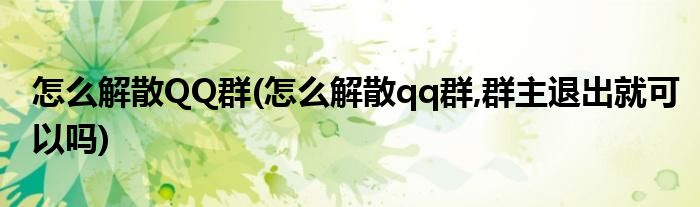 怎么解散QQ群(怎么解散qq群,群主退出就可以嗎)