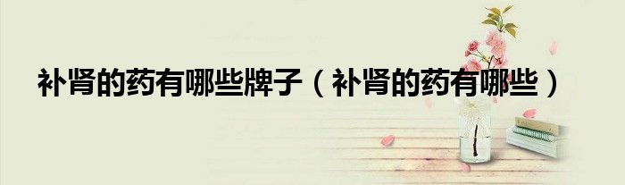 補(bǔ)腎的藥有哪些牌子（補(bǔ)腎的藥有哪些）
