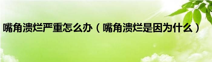 嘴角潰爛嚴(yán)重怎么辦（嘴角潰爛是因?yàn)槭裁矗?class='thumb lazy' /></a>
		    <header>
		<h2><a  href=