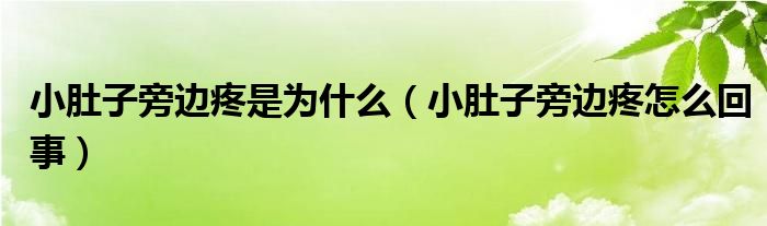 小肚子旁邊疼是為什么（小肚子旁邊疼怎么回事）