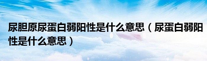 尿膽原尿蛋白弱陽性是什么意思(尿蛋白弱陽性是什么意思)