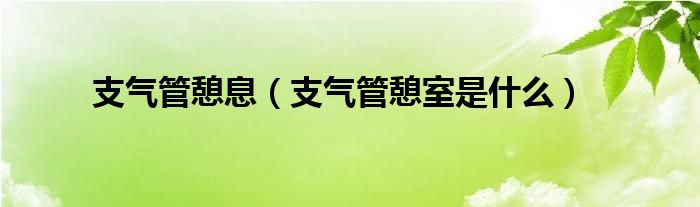 支氣管憩息（支氣管憩室是什么）