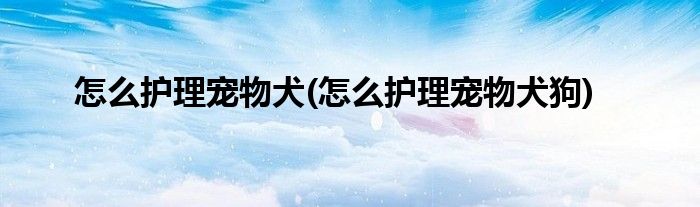 怎么護(hù)理寵物犬(怎么護(hù)理寵物犬狗)