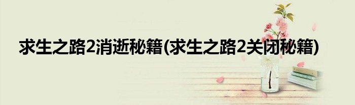 求生之路2消逝秘籍(求生之路2關(guān)閉秘籍)