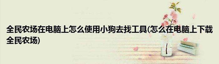 全民農(nóng)場(chǎng)在電腦上怎么使用小狗去找工具(怎么在電腦上下載全民農(nóng)場(chǎng))