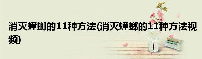 消滅蟑螂的11種方法(消滅蟑螂的11種方法視頻)