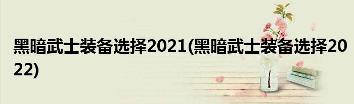 黑暗武士裝備選擇2021(黑暗武士裝備選擇2022)