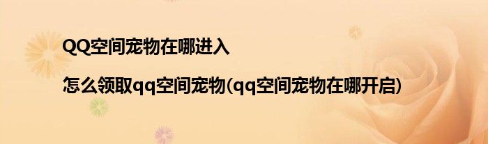 QQ空間寵物在哪進(jìn)入|怎么領(lǐng)取qq空間寵物(qq空間寵物在哪開啟)