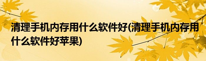 清理手機(jī)內(nèi)存用什么軟件好(清理手機(jī)內(nèi)存用什么軟件好蘋果)