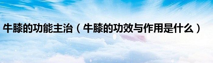 牛膝的功能主治（牛膝的功效與作用是什么）