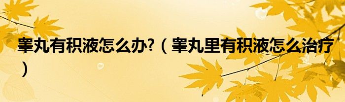 睪丸有積液怎么辦?(睪丸里有積液怎么治療)