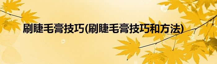 刷睫毛膏技巧(刷睫毛膏技巧和方法)