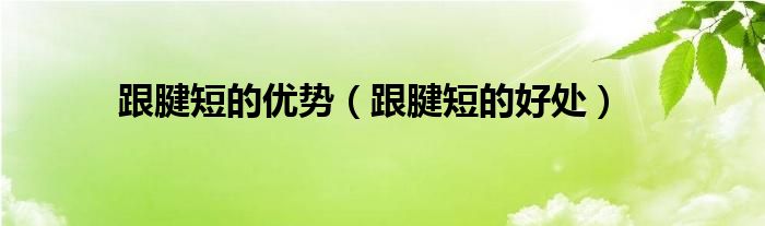 跟腱短的優(yōu)勢(跟腱短的好處)