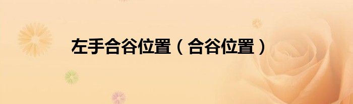 左手合谷位置（合谷位置）