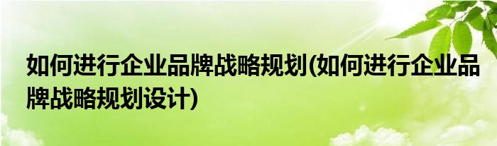 如何進行企業(yè)品牌戰(zhàn)略規(guī)劃(如何進行企業(yè)品牌戰(zhàn)略規(guī)劃設(shè)計)