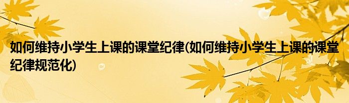 如何維持小學(xué)生上課的課堂紀(jì)律(如何維持小學(xué)生上課的課堂紀(jì)律規(guī)范化)